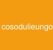 cosodulieungoai