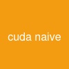 cuda naive