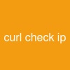 curl check ip