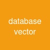 database vector