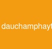 dauchamphaytrongjava