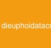 dieuphoidatacnhan
