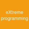 eXtreme programming