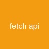 fetch api