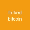 forked bitcoin