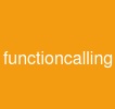 functioncalling