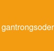 gantrongsodenangcapaiagent