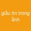 giấu tin trong ảnh