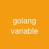 golang variable