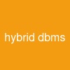 hybrid dbms