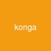 konga