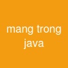 mảng trong java