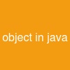 object in java