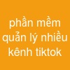 phần mềm quản lý nhiều kênh tiktok