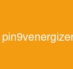 pin9venergizer