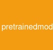 pretrained-model