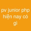 pv junior php hiện nay có gì