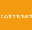 quytrinhchuanhoadulieu