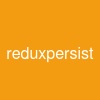 redux-persist