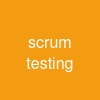 scrum testing