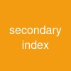 secondary index