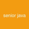 senior java