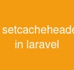 setcacheheaders in laravel