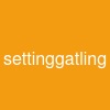 settinggatling