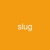 slug