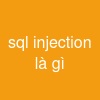 sql injection là gì