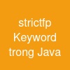 strictfp Keyword trong Java