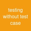 testing without test case