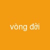 vòng đời