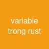 variable trong rust