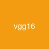 vgg16