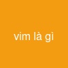 vim là gì