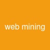 web mining