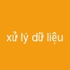 xử lý dữ liệu