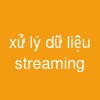 xử lý dữ liệu streaming