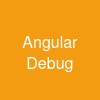 Angular Debug