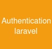 Authentication laravel