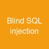 Blind SQL injection