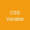 CSS Variable