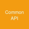 Common API