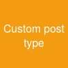 Custom post type