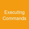 Executing Commands