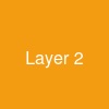 Layer 2