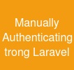 Manually Authenticating trong Laravel