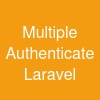 Multiple Authenticate Laravel