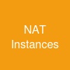 NAT Instances
